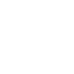 A white smile icon